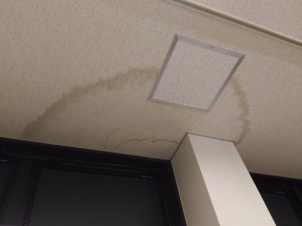 天井から水漏れした際の応急処置